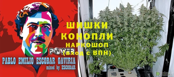 прущий лед Бронницы