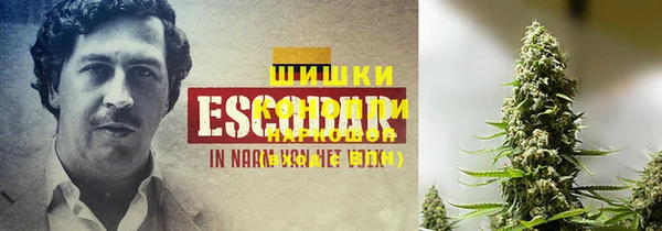 прущий лед Бронницы