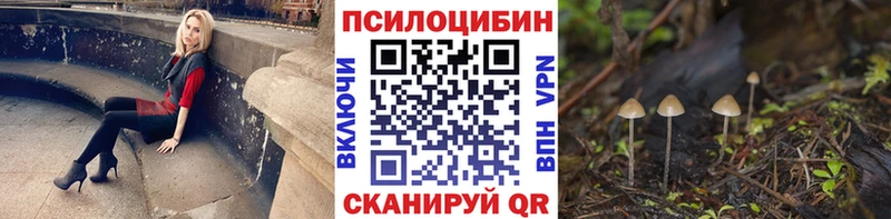 Псилоцибиновые грибы GOLDEN TEACHER  Елизаветинская 